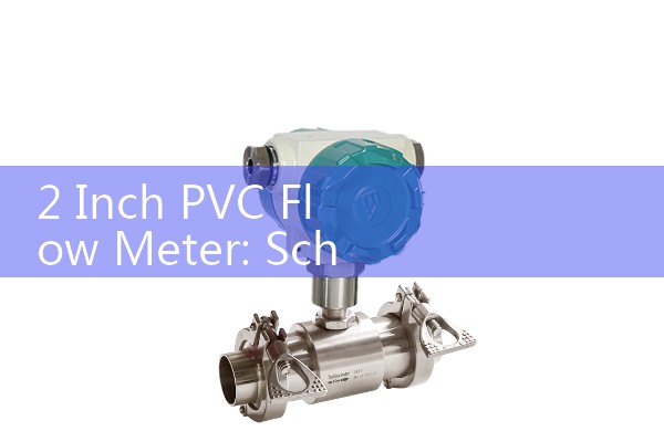 2 Inch PVC Flow Meter: Schedule 80 Corrosive Fluid Volumetric Sensors