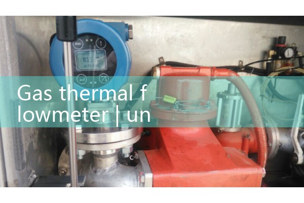 Gas thermal flowmeter