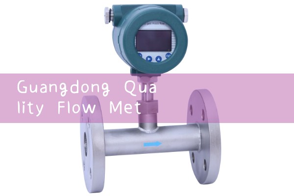 Guangdong quality flowmeter manufacturer price