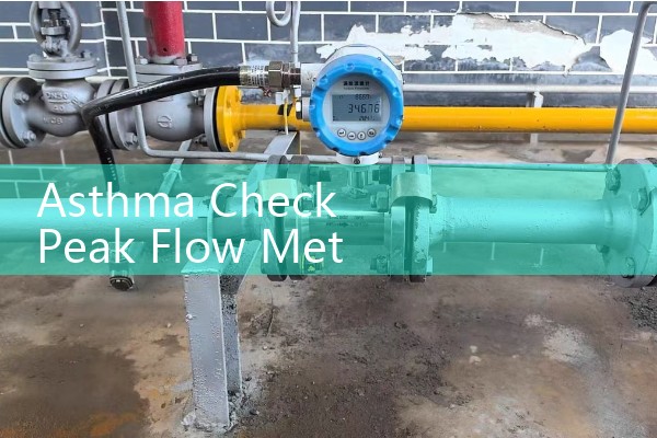 Asthma Check Peak Flow Meter Chart: Free Printable PDF Target Graph Download