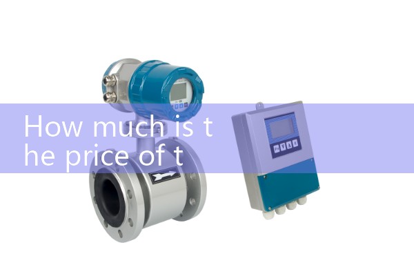 Vortex flowmeter inlet