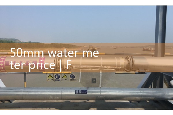 50mm water meter price