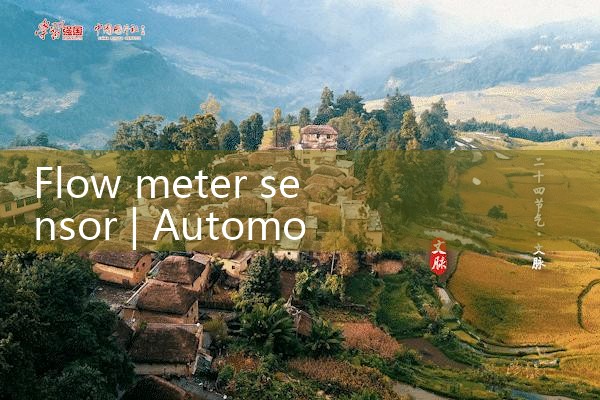 flow meter sensor|mass flowmeter