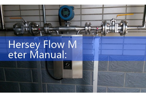Hersey Flow Meter Manual: Sizing and Testing Municipal Compound Fire Line Water Meters