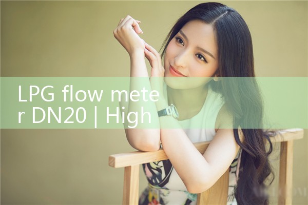 LPG flow meter DN20|arduino flow meter