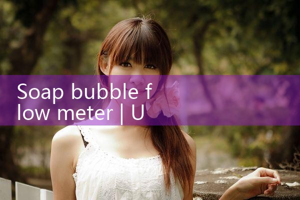 soap bubble flow meter|coriolis mass flow meter