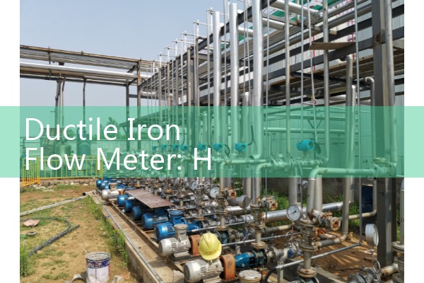 Ductile Iron Flow Meter: Heavy-Duty Flanged Municipal Main Senses