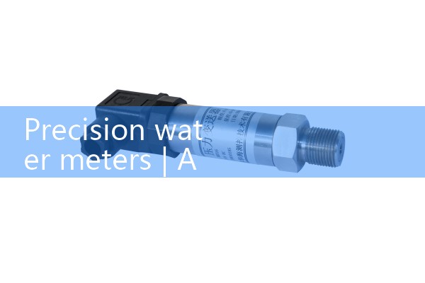 precision water meters