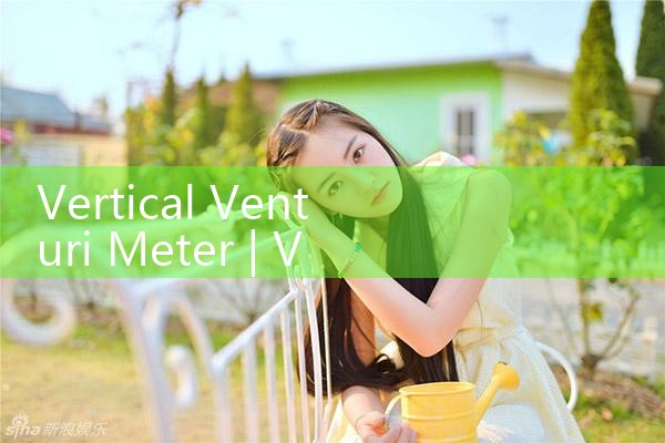 vertical venturi meter|arduino flow meter