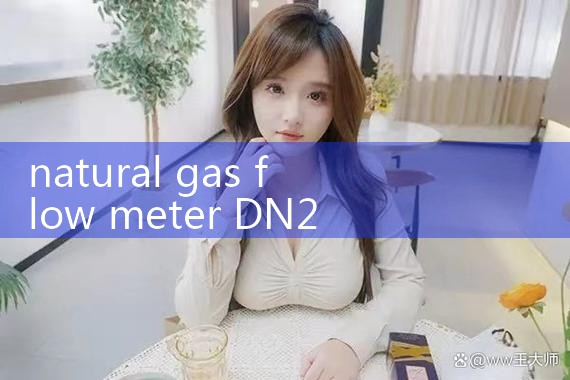 natural gas flow meter DN25|arduino flow meter