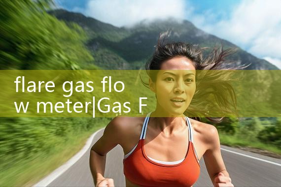 flare gas flow meter|arduino flow meter