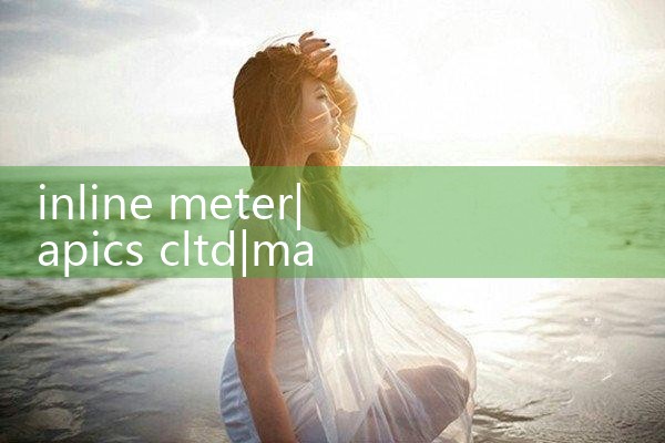 inline meter|mass flowmeter