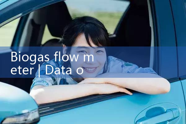 biogas flow meter|coriolis mass flow meter
