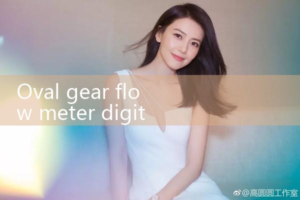 oval gear flow meter digital|vortex flow meter