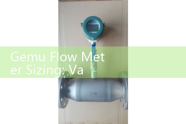 Gemu Flow Meter Sizing: Variable Area and Ultrasonic Solutions for High-Purity Chemical Lines