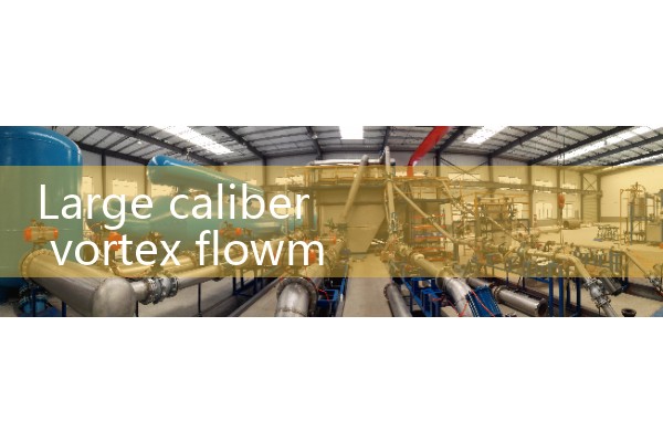 Large caliber vortex flowmeter