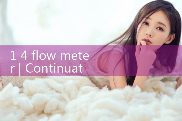 1 4 flow meter|mass flowmeter