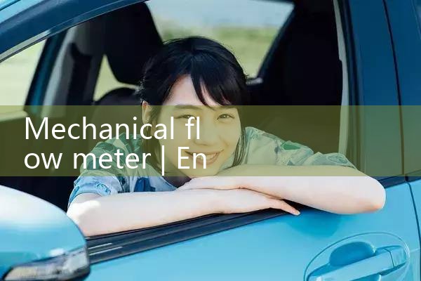 mechanical flow meter|mass flowmeter