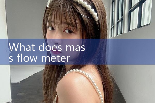 mass flow meter for viscous liquids|mass flowmeter