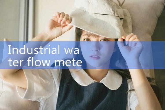 industrial water flow meter|mass flowmeter