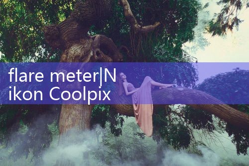 flare meter|arduino flow meter