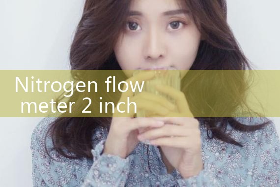 nitrogen flow meter 2 inch|coriolis mass flow meter
