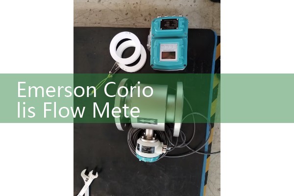 Emerson Coriolis Flow Meter Sizing: Micro Motion High-Precision Control