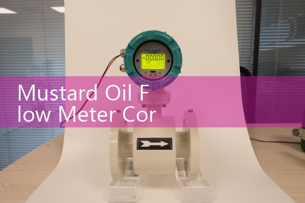 Mustard Oil Flow Meter Corrosive Vapor Enclosure Options