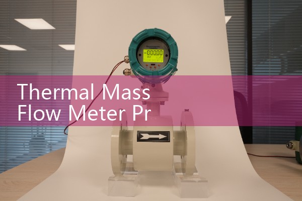 Thermal Mass Flow Meter Principle & Application