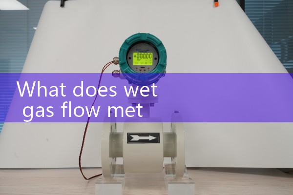wet gas flow meter