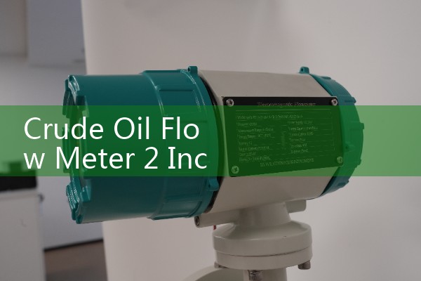 Crude Oil Flow Meter 2 Inch Field Desalting Loop Metrics