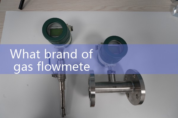 Gas micro flowmeter
