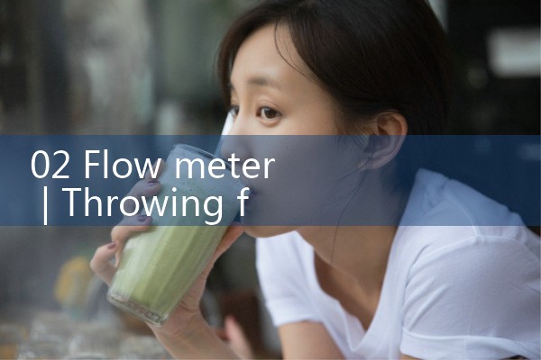 02 flow meter|mass flowmeter