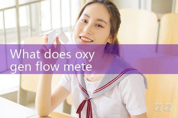 oxygen flow meter distributor|coriolis mass flow meter