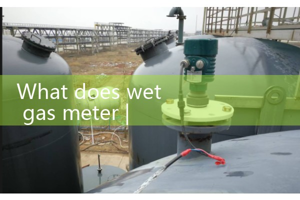 wet gas meter