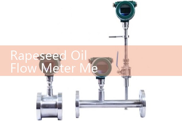 Rapeseed Oil Flow Meter Mechanical Meter Replacement Options