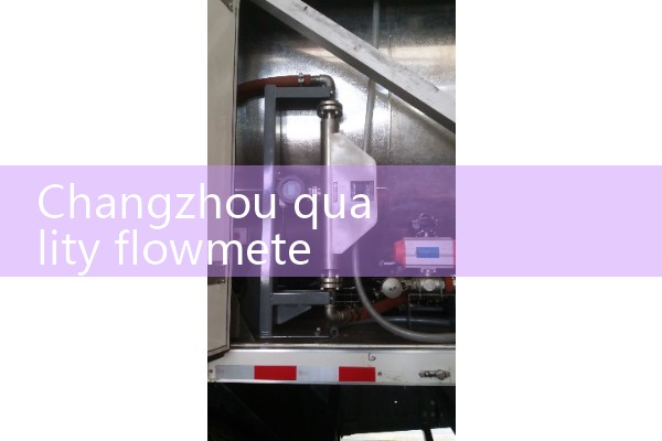 Changzhou Quality Flow Meter Manufacturer Supply