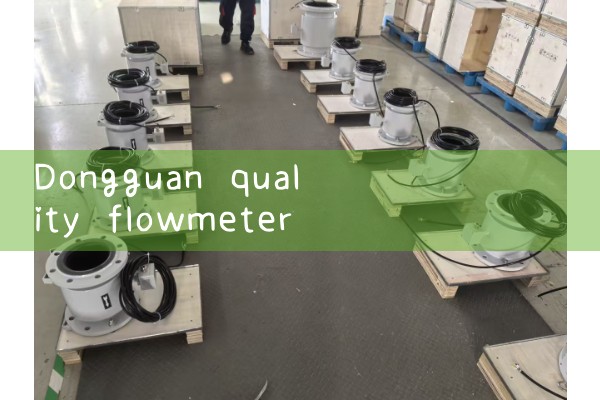 Dongguan quality flowmeter supplier
