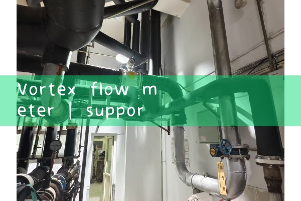 vortex flow meter|venturi meter