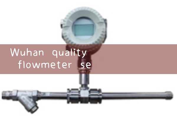 Wuhan Quality Flow Meter Selection Manufacturer